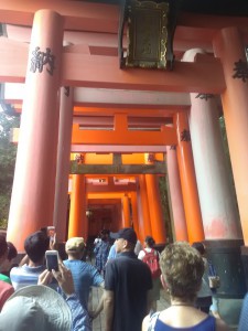 IMG_20160710_092754(2)