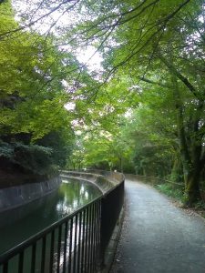 IMG_20160723_061823(2)