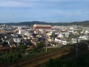 IMG_20160723_062233(2)
