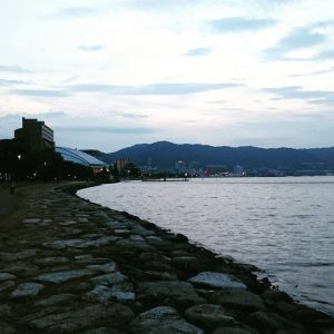 IMG_20160725_204412