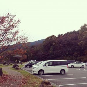 IMG_20160725_204828