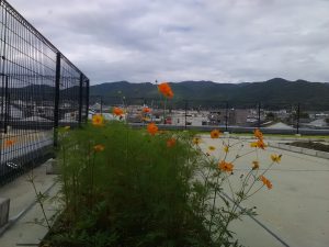 img_20160927_130129