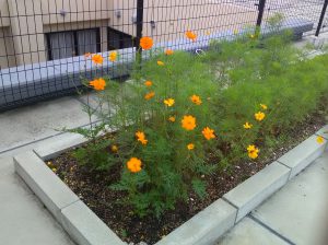 img_20160927_1301362