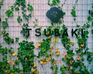 Processed with VSCO with c1 preset