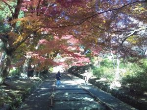img_20161118_113458
