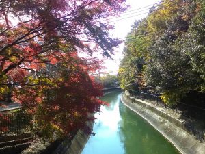 img_20161118_114313